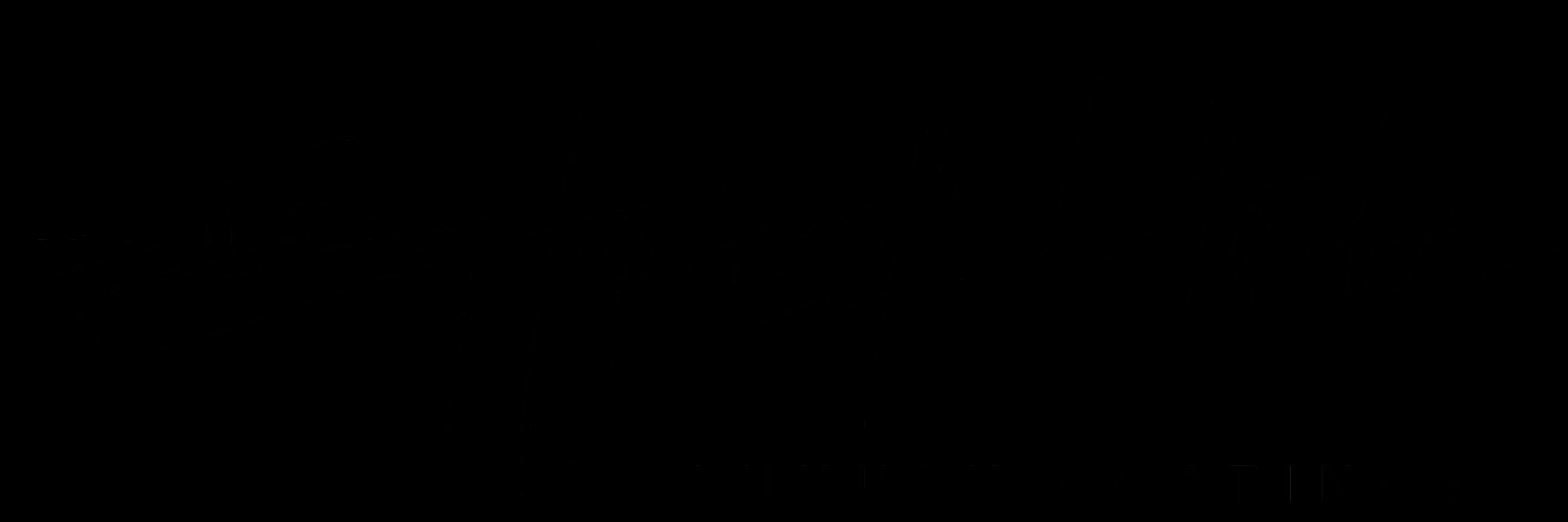 House of Plaster Logo